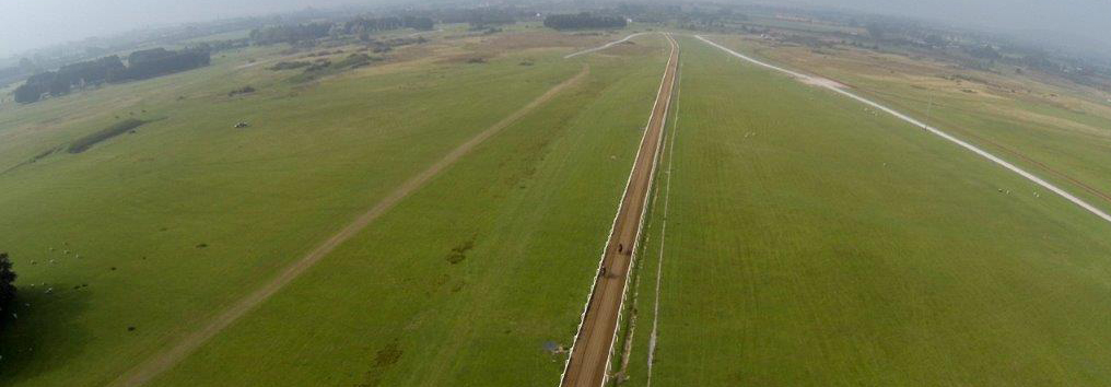 aerial-gallop-crop