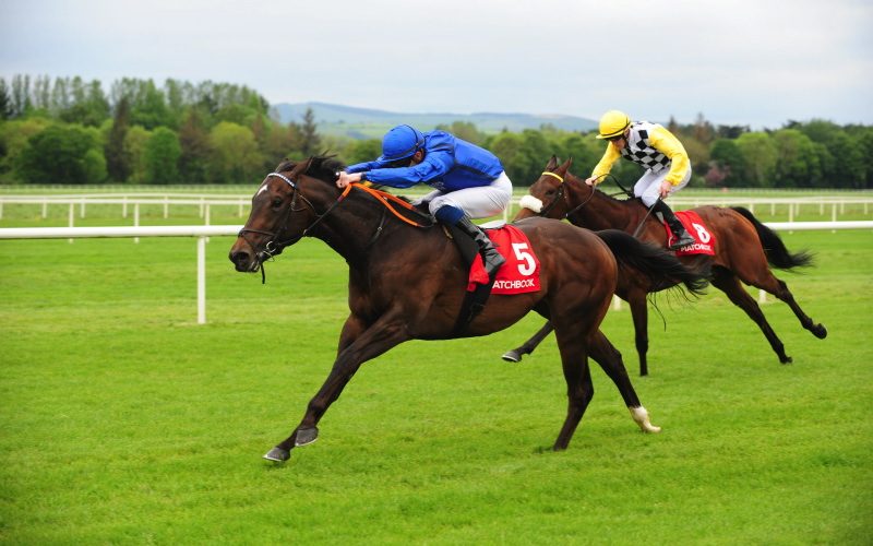 Highland Dress | Winner at Cork and sold to Newmarket HIT Sale.